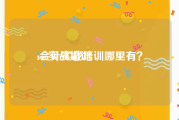 seo实战培训:会计实战培训哪里有？