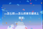 seo怎么样(seo怎么样使关键词上首页)