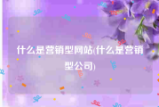 什么是营销型网站(什么是营销型公司)