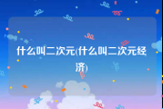 什么叫二次元(什么叫二次元经济)
