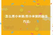 怎么煮小米粥(熬小米粥的最佳方法)