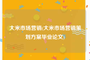 大米市场营销(大米市场营销策划方案毕业论文)