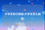 大学生自己创业(大学生怎么创业)