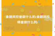 金融风控是做什么的(金融风控师是做什么的)