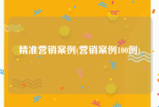 精准营销案例(营销案例100例)