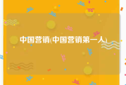 中国营销(中国营销第一人)