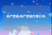 房产营销(房产营销代理公司)