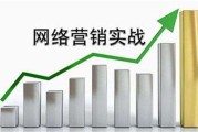 网络软文营销(网络软文营销方案)