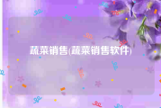蔬菜销售(蔬菜销售软件)