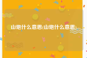 山炮什么意思(山炮什么意思)