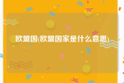 欧盟国(欧盟国家是什么意思)