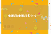 小黄袋(小黄袋多少钱一个)