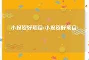 小投资好项目(小投资好项目)