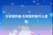 五常指的是(五常指的是什么意思)