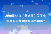 小红圈:魅族和中兴（努比亚）关于小圆点的恩怨到底是怎么回事？