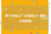 开个小加工厂(小型加工厂做什么利润高)