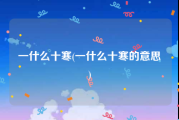 一什么十寒(一什么十寒的意思)