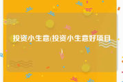 投资小生意(投资小生意好项目)
