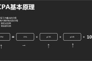 feed是什么意思(feed是什么意思中文)