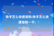 快手怎么快速涨粉(快手怎么快速涨粉一千)