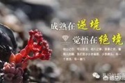 怎么成为网红:怎样才能当网红？
