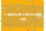 一亩地怎么算(土地怎么计算多少亩)