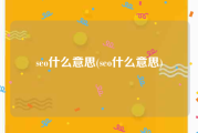 seo什么意思(seo什么意思)
