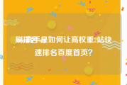 刷排名seo:seo高手是如何让高权重2站快速排名百度首页？