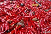 板面辣椒的做法视频教程
:牛肉板面的辣椒是怎样做的？