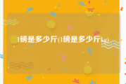 1磅是多少斤(1磅是多少斤kg)