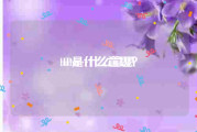 banner什么意思:IP是什么意思？