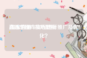 直通车推广技巧教程:淘宝直通车如何进行推广及优化？