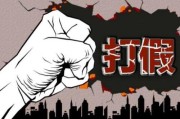淘宝职业打假人(淘宝职业打假人 月入十万)