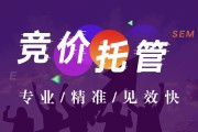竞价自学(竞价自学教材)