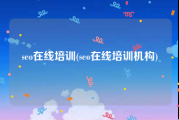 seo在线培训(seo在线培训机构)