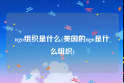 ngo组织是什么(美国的ngo是什么组织)