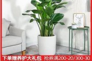 淘宝违禁词:淘宝店需要注意点什么？