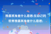 独善其身是什么意思(在自己的世界独善其身是什么意思)