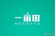 快手小店通:现在哪个平台的电商适合个人开店？