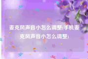 麦克风声音小怎么调整(手机麦克风声音小怎么调整)