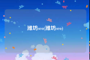 潍坊seo(潍坊seo)