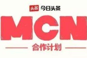 大鱼mcn(大鱼mcn机构)