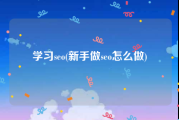 学习seo(新手做seo怎么做)