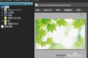 acdsee绿色破解版(acdsee10绿色破解版)