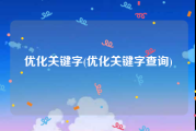 优化关键字(优化关键字查询)
