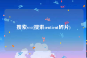 搜索seo(搜索sentient碎片)