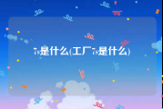 7s是什么(工厂7s是什么)