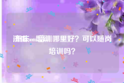 济南seo培训:重庆seo培训哪里好？可以随岗培训吗？