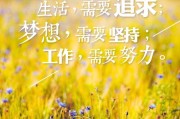 淘宝店铺统计:淘宝店铺上架多少个宝贝为佳？如何布局爆款群？