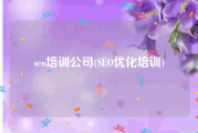 seo培训公司(SEO优化培训)